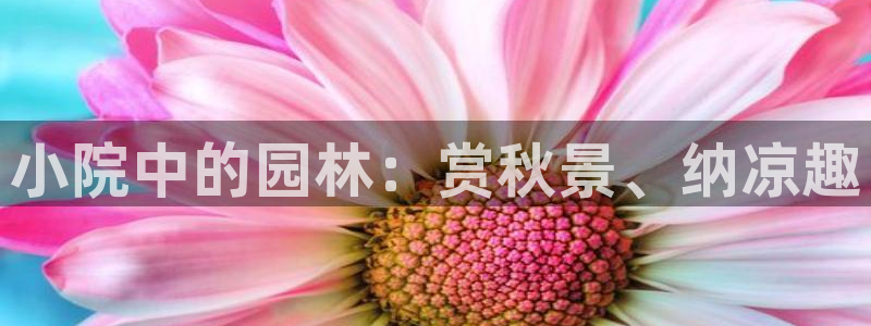 新宝GG勒55312:小院中的园林:赏秋景、纳凉趣