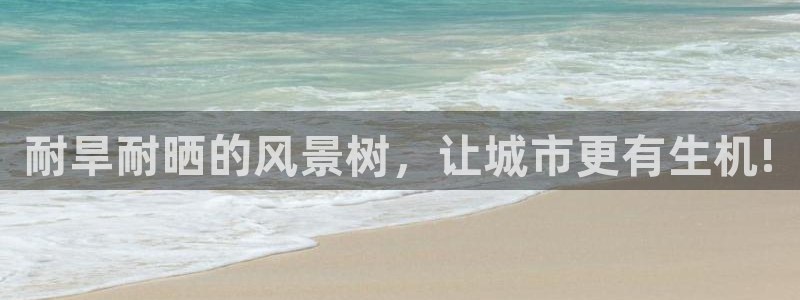 新宝gg登录网址:耐旱耐晒的风景树,让城市更有生机!