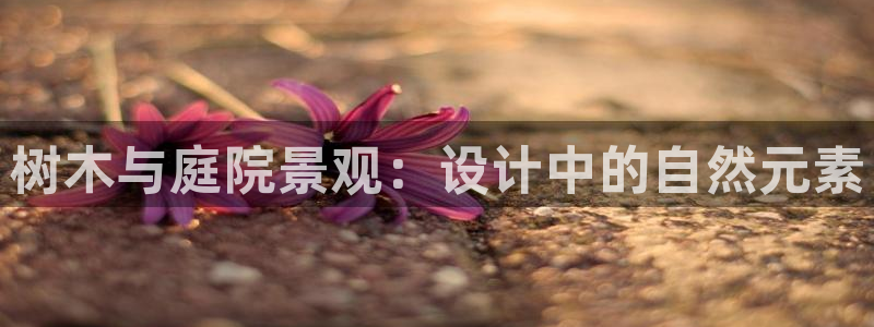 新宝gg系列:树木与庭院景观:设计中的自然元素